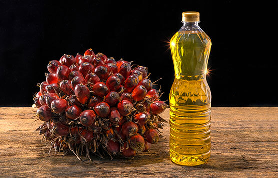 palm-oil-&-palm-kernel-oil-products-3